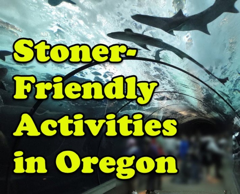 stoner friendly activities