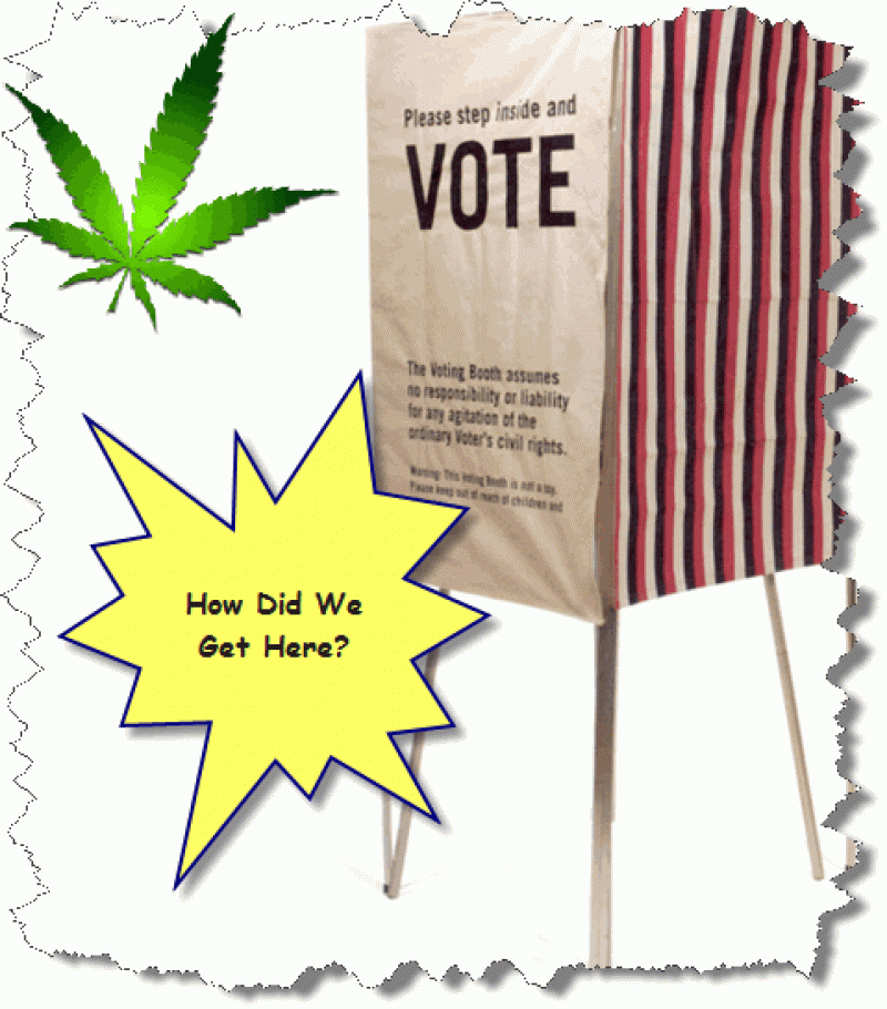 The Cannabis Vote 