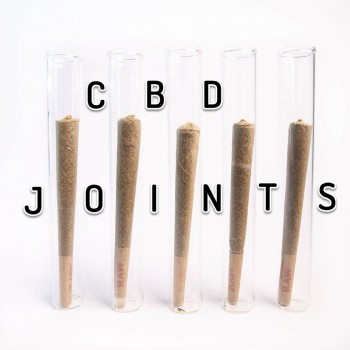 Wanna Smoke a CBD Joint? - CBD Pre-Rolls are the Next Big Thing!