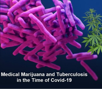 Medical Marijuana and Tuberculosis in the Time of COVID-19