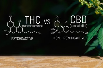 Is the 10:1 CBD to THC Ratio a Breakthrough in Fighting Diabetes?