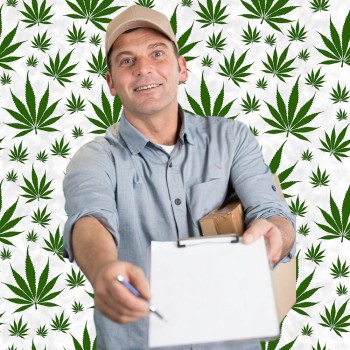 10 Factors to Consider When Choosing a Delivery Cannabis Service