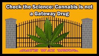 Why Marijuana Is NOT A Gateway Drug - Check The Science