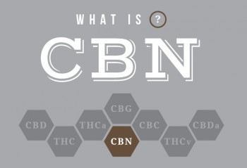 What is Cannabinol (CBN)?