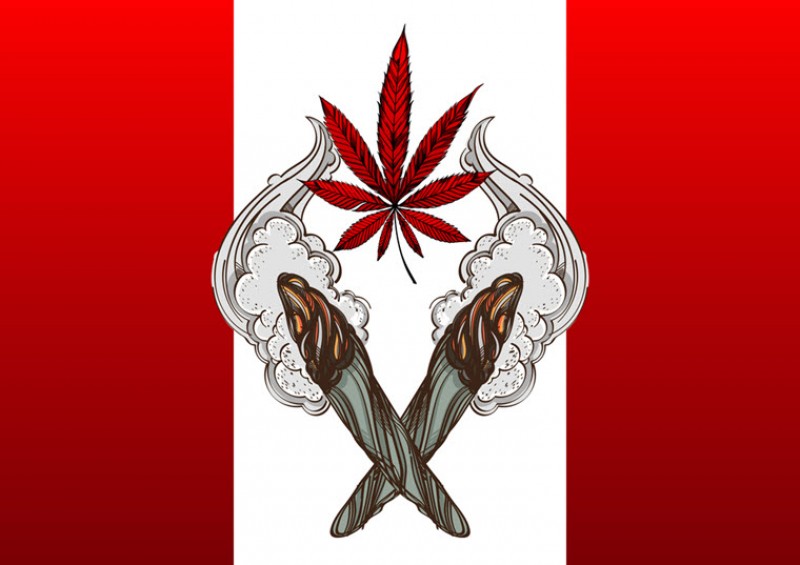 Canadian legal marijuana market numbers