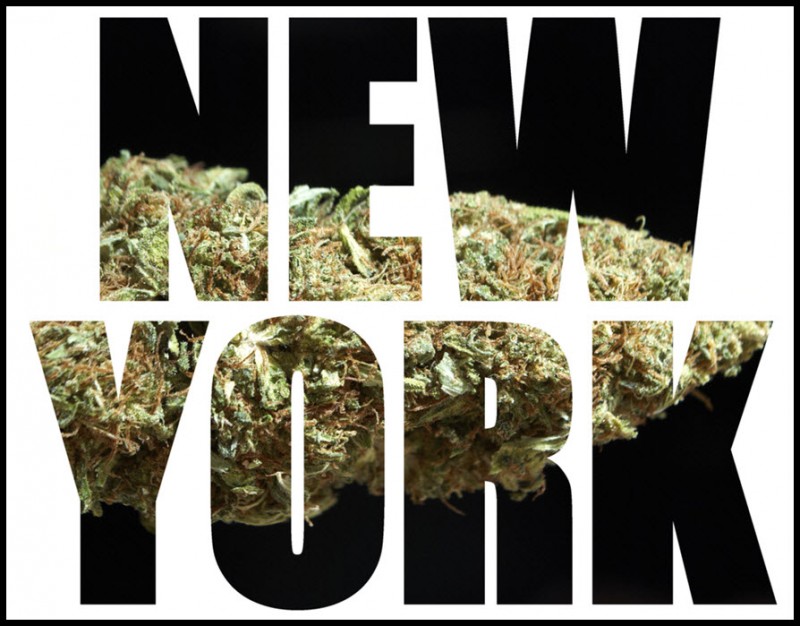 New York cannabis control board