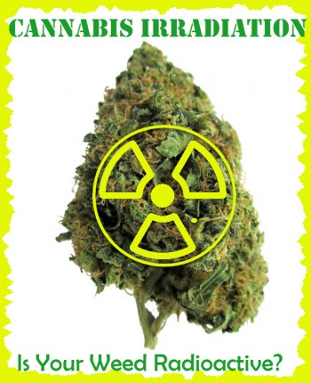 Is Your Cannabis Radioactive?