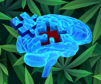 Cannabis and Dementia - What We Now Know and Don't Know