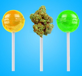 How to Make Weed-Infused Lollies at Home