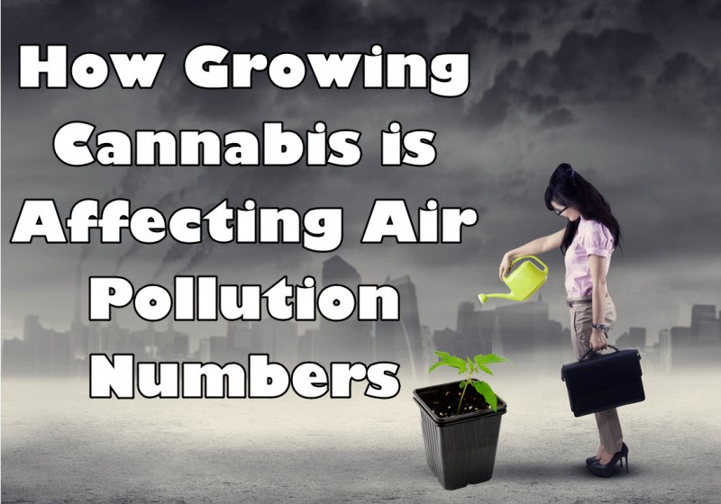 growing cannabis air pollution