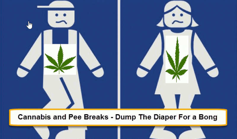 Incontinence and Cannabis