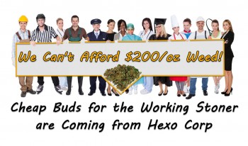 Cheap Buds for the Working Stoner are Coming from Hexo Corp