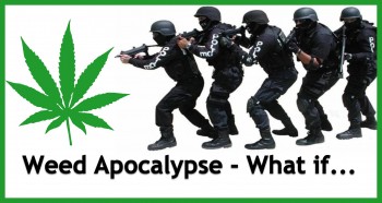Marijuana Apocalypse 2017 : What If Everything Went Wrong