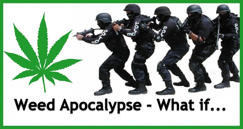 marijuana apocalypse