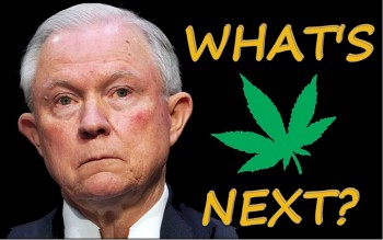 The Silence of Sessions – A Deeper Look into the AG’s Position on Pot