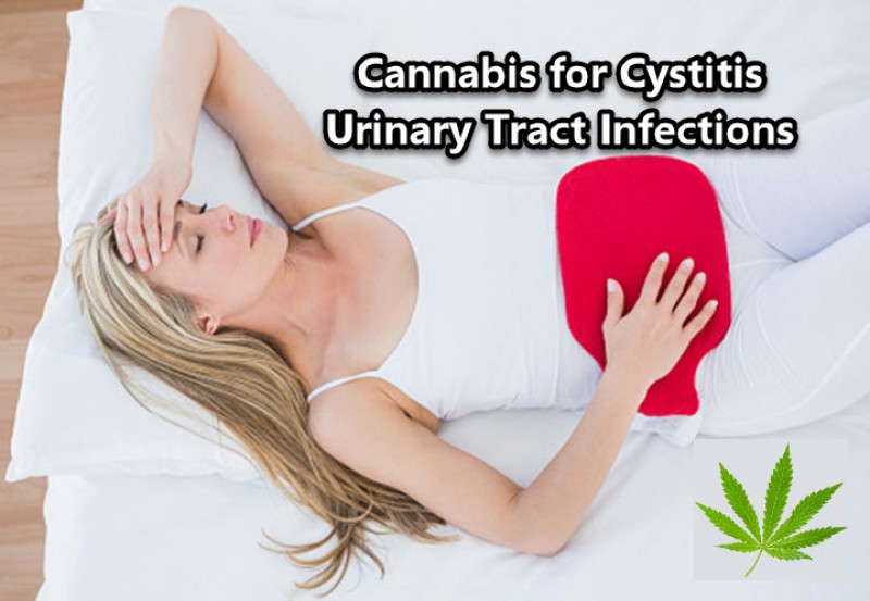 cannabis for cystitis