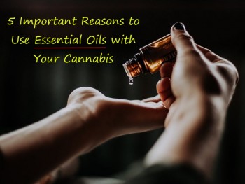 5 Reasons to Use Essential Oils with Your Cannabis