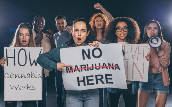 Washington State Lawmakers Delete the Word 'Marijuana' from State Laws and Go with 'Cannabis', Instead!
