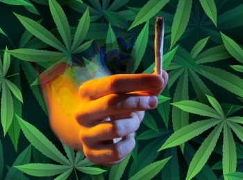 Do You Get High from Smoking High-CBD, Low-THC Cannabis Flower? (One Step Above Hemp?)