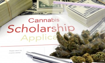 Get Paid to Study Cannabis - $20,000 Scholarship for a Degree in Weed Now Up for Grabs!
