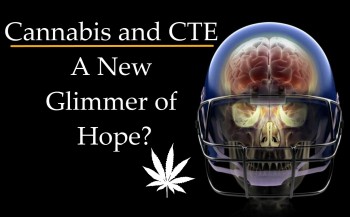 Cannabis and CTE - A New Glimmer of Hope?