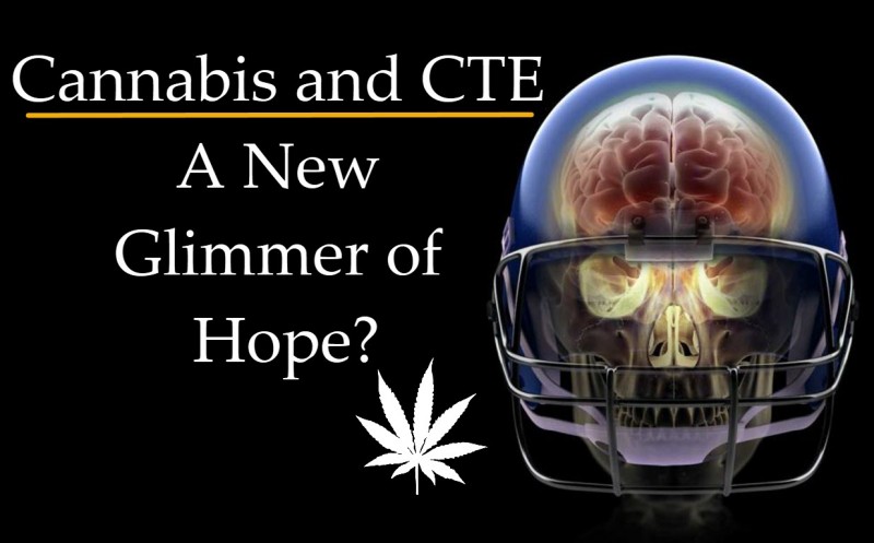 cannabis and cte