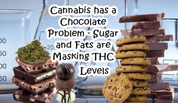 Cannabis has a Chocolate Problem - Sugar and Fats are Masking THC Levels