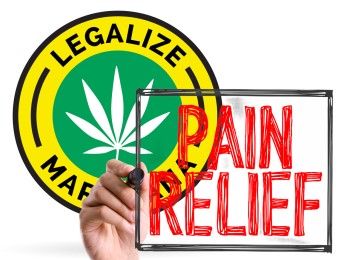 Almost 20% of Americans Now Use Cannabis Regularly and Pain Management is the #1 Reason They Use It