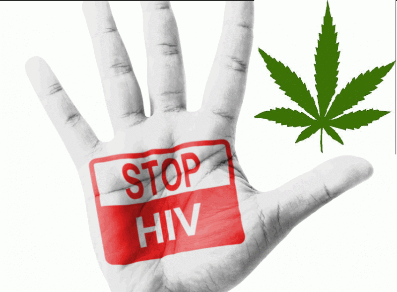 HIV/AIDS Cannabis
