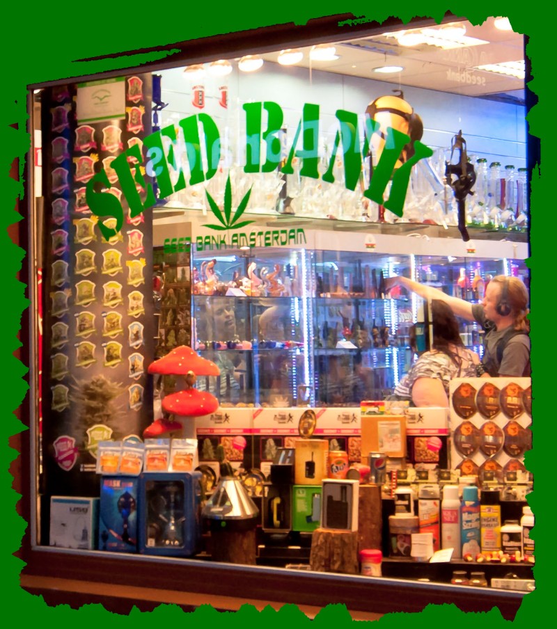 selling marijuana seeds