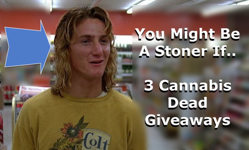 You Might Be A Stoner If