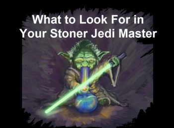 What to Look For in Your Stoner Jedi Master