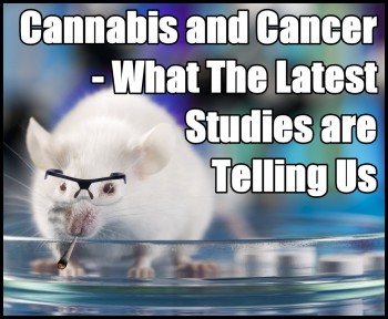 Cannabis and Cancer - What The Latest Studies are Telling Us