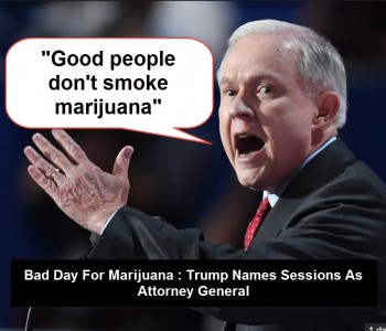A Kick In The Bong : Trump Names Jeff Sessions As Attorney General