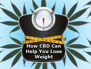 How CBD Can Help You Lose Weight