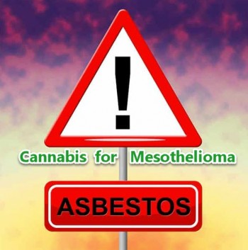 Cannabis for Mesothelioma Cancer