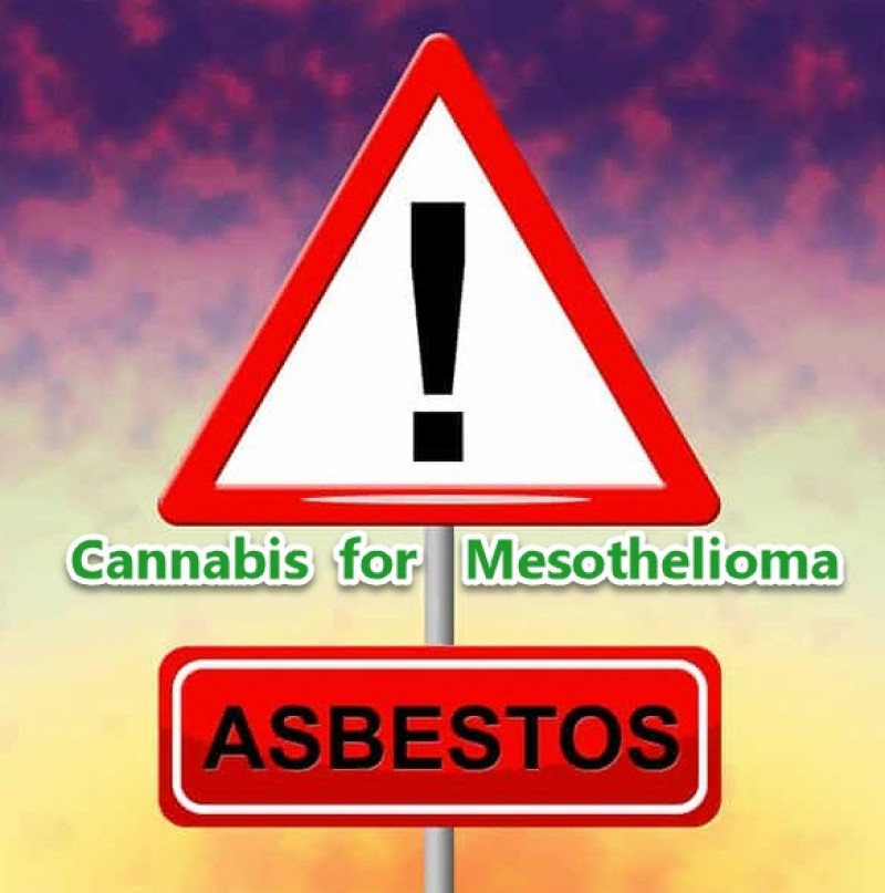 cannabis and mesothelioma