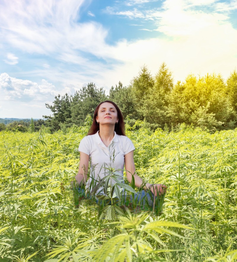 cannabis growing for mental health problems