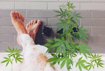 The Cannabis Emergency Bath Recipe for Dealing with Bugs and Mold When Cropping Out