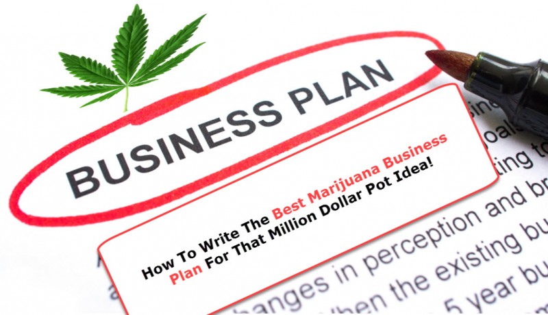 marijuana business plan