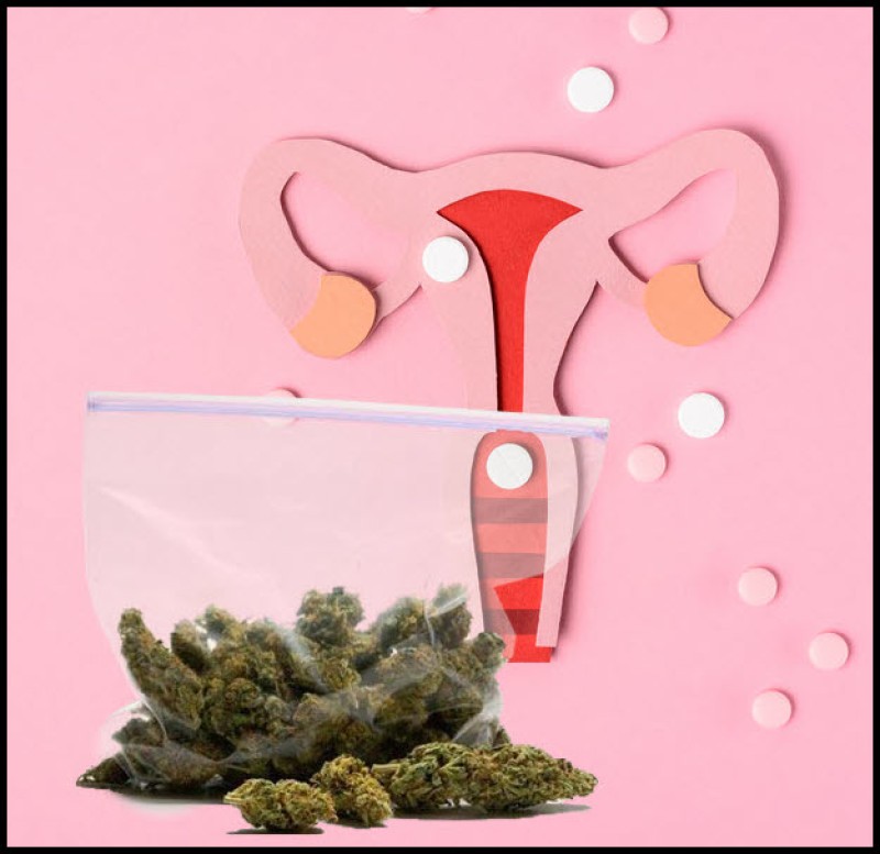 cannabis cervical cancer