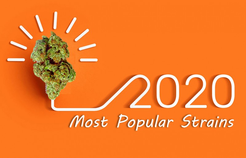 most popular cannabis strains