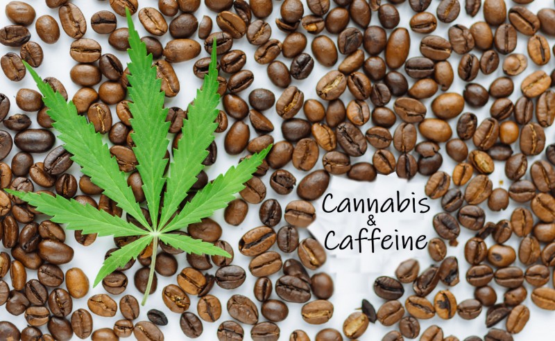 cannabis with caffeine