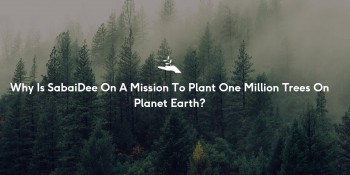 SabaiDee has Mission to Save the Planet with CBD and One Million Trees