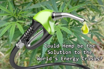 Could Hemp be the Solution to the World's Energy Crisis?