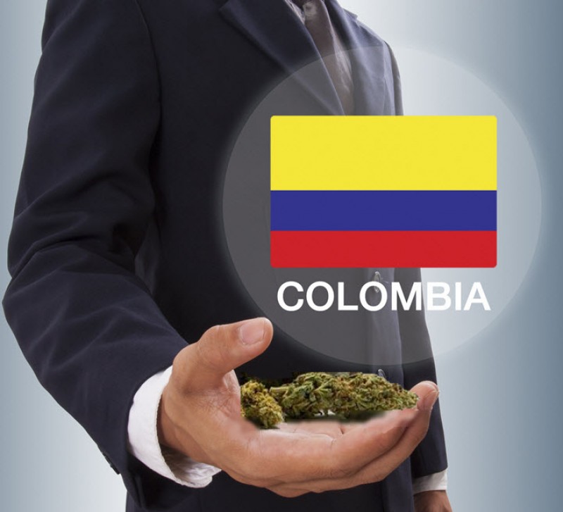 Colombia cannabis exports