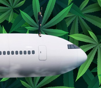 An Edible for Flying, Sure, Just Don't Freak Out and Try to Open the Plane Door Mid-Flight!