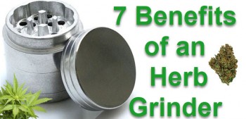 7 Benefits of an Herb Grinder