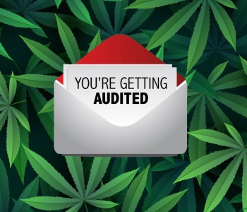 Are Cash Transactions over $10,000 in the Weed Industry a Problem with the IRS? - Tax Agency Says No, Just Fill Out Form 8300
