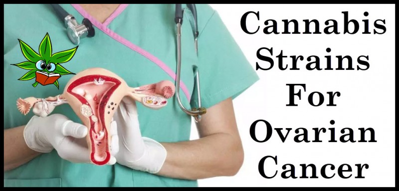 cannabis strains for ovarian cancer